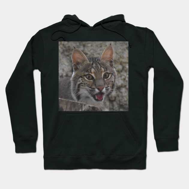 Bobcat Hoodie by Sharonzoolady